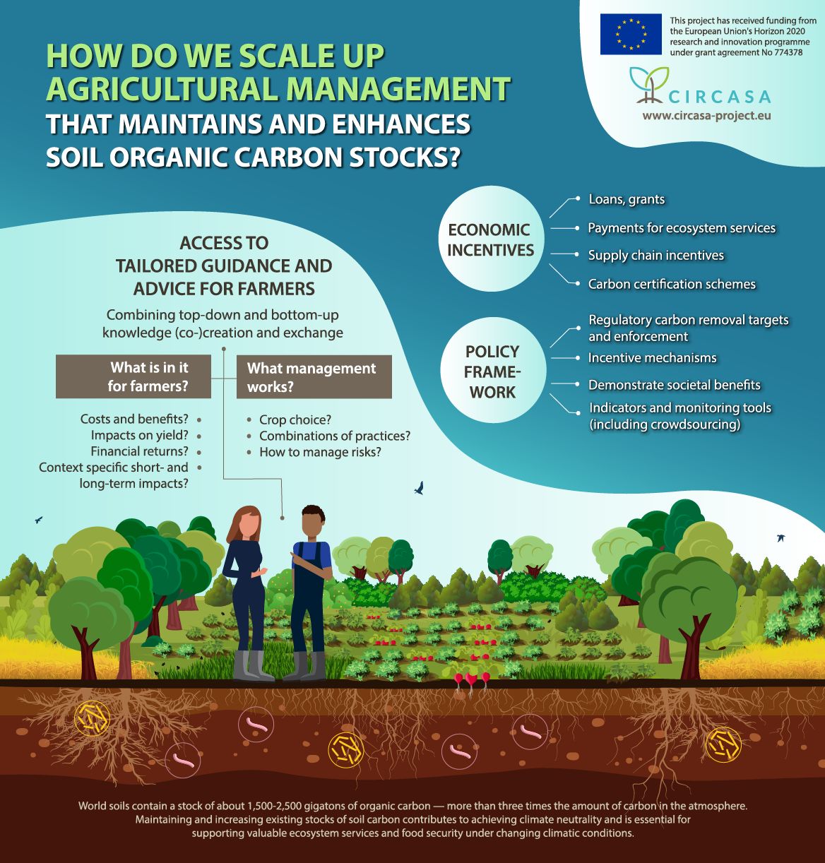 Coordination of International Research Cooperation on soil Carbon